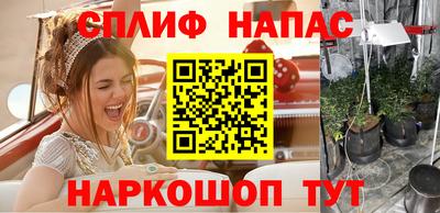 шишки Кунгур