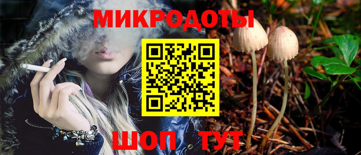 Псилоцибиновые грибы Cubensis Камышлов