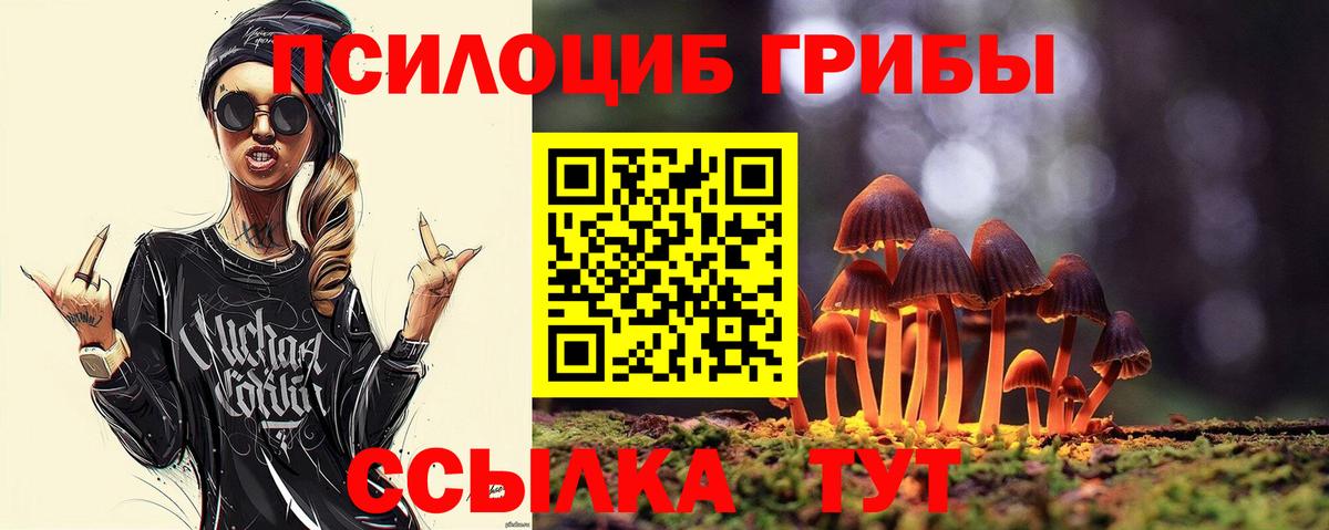 что такое   Вход с VPN  Камышлов  Галлюциногенные грибы Magic Shrooms 